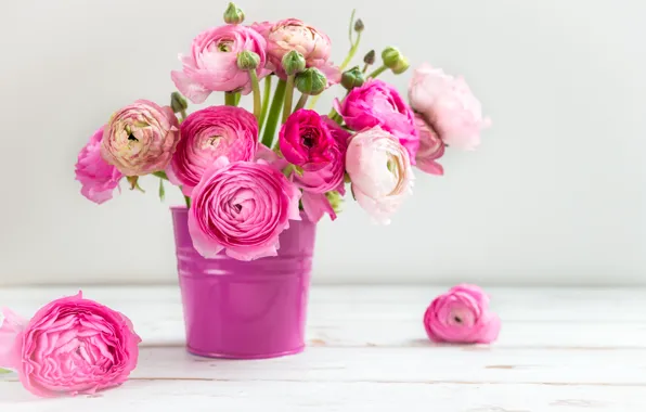 Bouquet, pink, bucket, Buttercup, Ranunculus