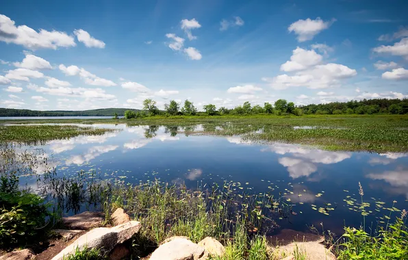 Summer, the sky, lake