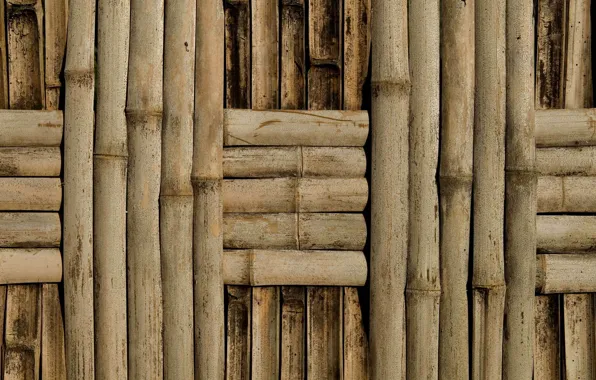 Picture wall, bamboo, netting, texture