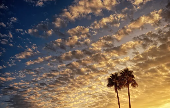 Sunset, The sky, Clouds, The evening, Sunrise, Palma, Morning, Dawn