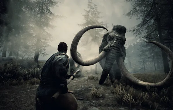 Picture fog, the game, people, Action, game, mammoth, Conan the barbarian, Conan Exiles