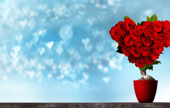Flowers, red, design, background, heart, plant, roses, bouquet