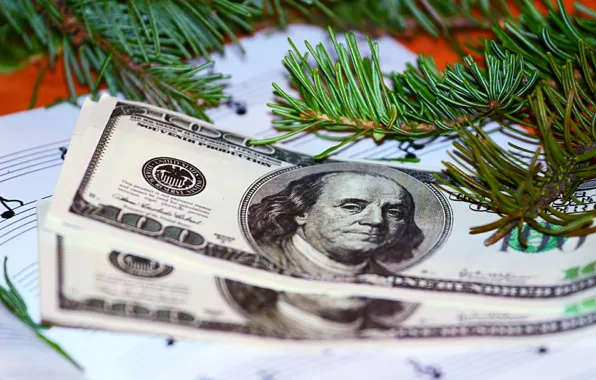 Picture needles, new year, money, notebook, twigs