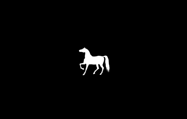 Horse, minimalism, Horse, black background, horse