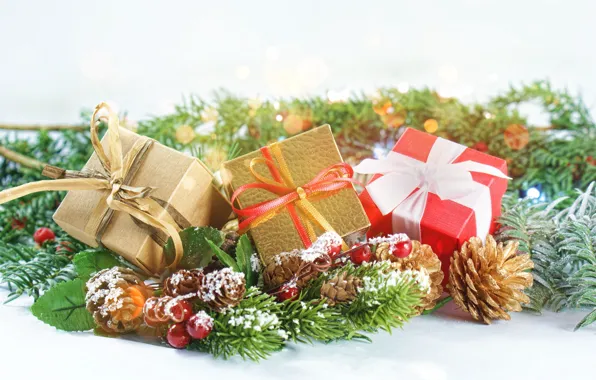 Holiday, new year, spruce, gifts, bow