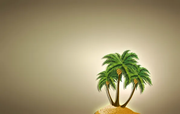 Picture Palma, tree, island, coconut, minimalism, light background