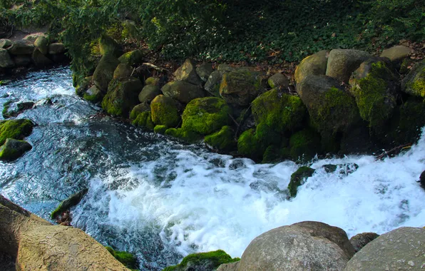 Park, waterfall, plant