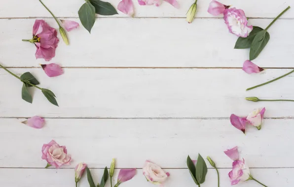 Pink, pink, buds, wood, flowers, leaves, eustoma