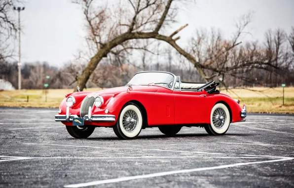Picture coupe, Jaguar, Jaguar, classic, Coupe, 1961, Drophead, XK150
