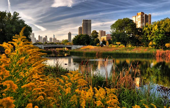 Picture autumn, the city, lake, Park, Chicago, Lincoln Park