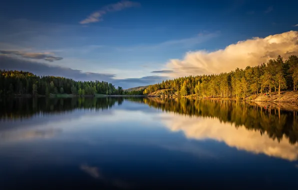 Forest, lake, reflection, Norway, Norway, Berum, Bærum