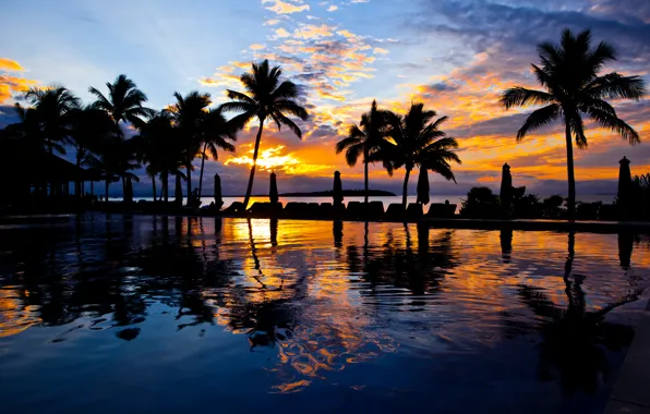 Picture the sky, water, clouds, sunset, palm trees, Pool, umbrellas