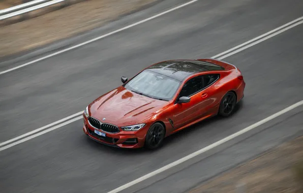 Picture movement, coupe, speed, BMW, 2018, 8-Series, 2019, dark orange