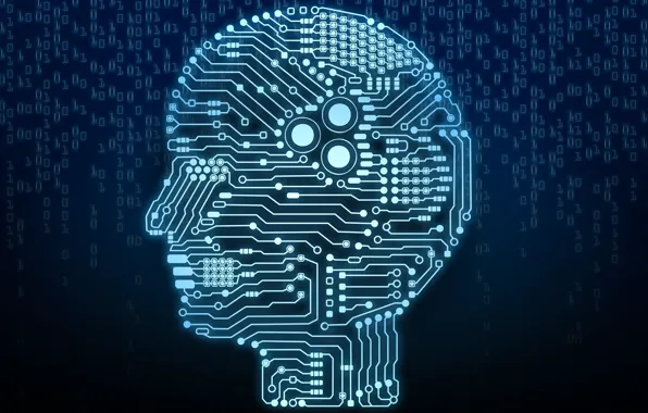 Blue, systems, brain