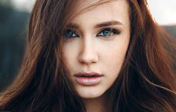 Look, close-up, face, model, portrait, makeup, hairstyle, brown hair