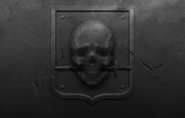 Picture metal, cracked, skull, black background, coat of arms