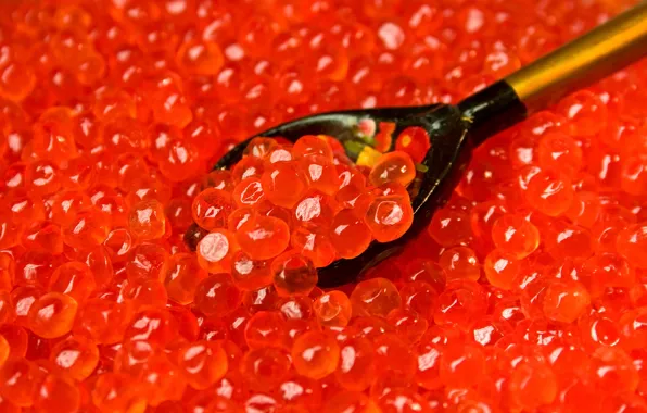 Spoon, red, caviar, granular, salmon