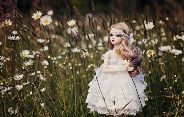 Toy, chamomile, doll