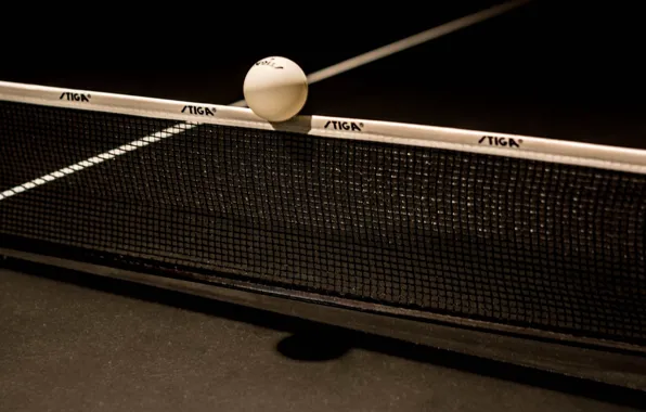 Mesh, the ball, ping-pong, table tennis