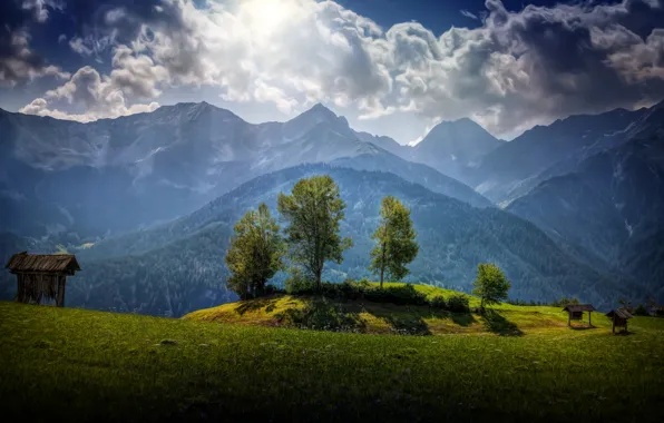Greens, grass, clouds, trees, mountains, glade, Austria, hdr