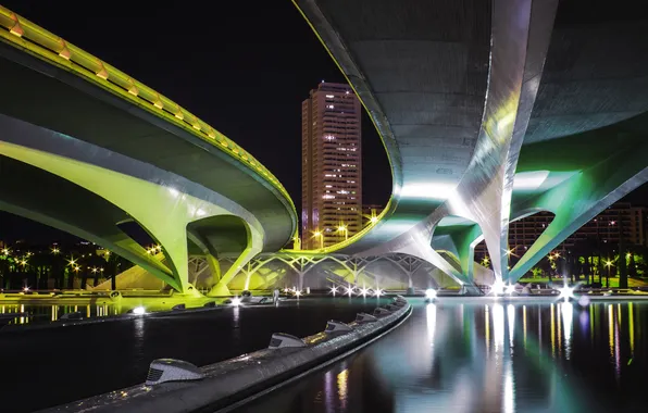 Picture water, night, bridge, lights, home, overpass