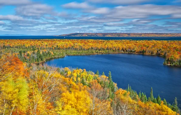 Autumn, forest, trees, lake, Michigan, USA