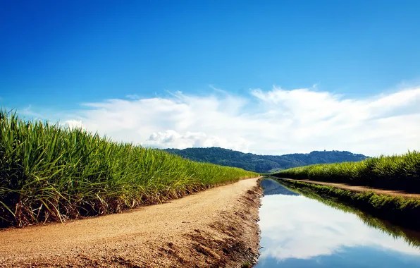 The sky, water, clouds, surface, reflection, river, palm trees, hills