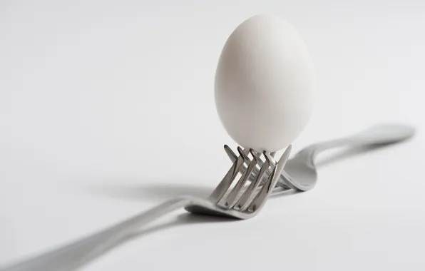 Picture background, fork, egg