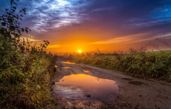 Road, sunset, puddle