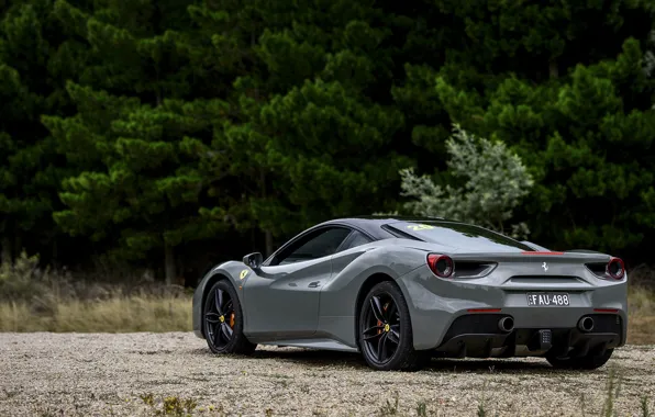 Picture ferrari, Ferrari, 488 GTB