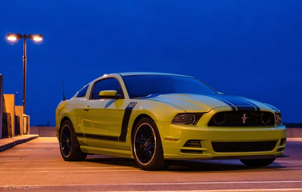 Picture mustang, ford, 302, boss, 2013