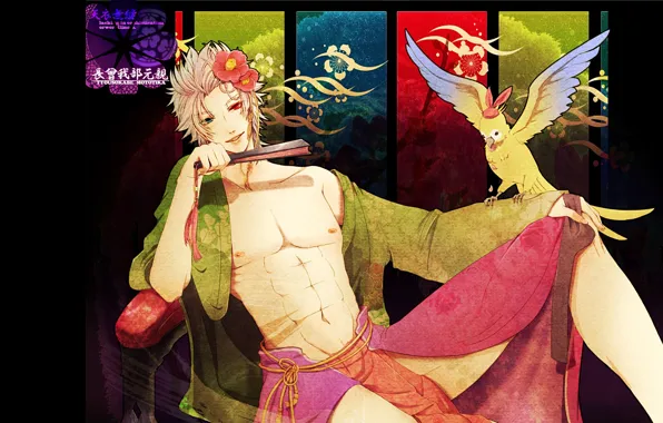 Bird, guy, Sengoku Basara, The Era Of Unrest