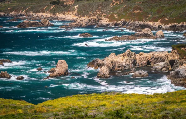 Picture sea, grass, the sun, stones, coast, CA, surf, USA