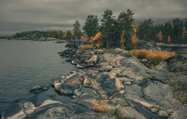 Autumn, forest, clouds, trees, clouds, lake, river, stones