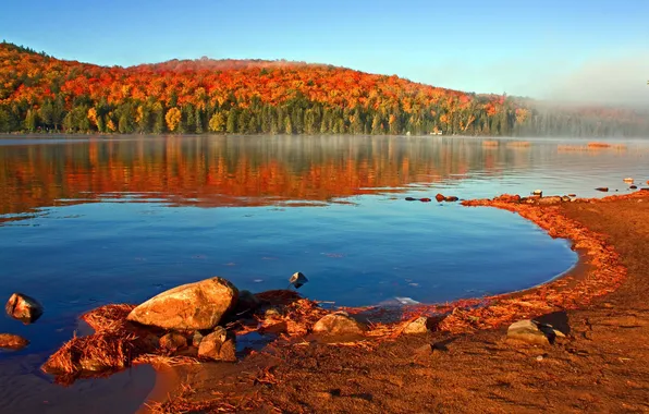 Picture autumn, forest, the sky, lake, shore