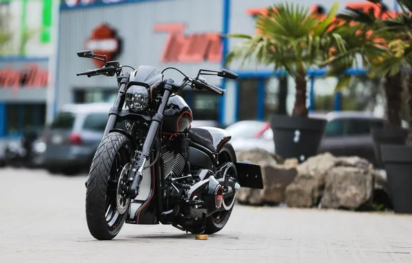 Motorcycle, bike, Harley Davidson, thunderbike customs