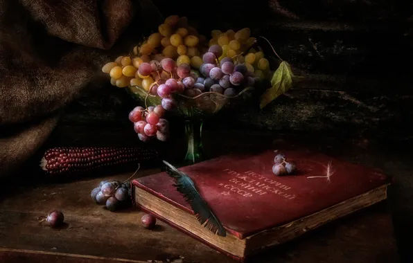 The dark background, table, pen, corn, grapes, book, vase, USSR