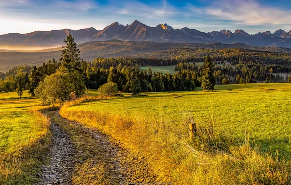 Picture road, autumn, landscape, mountains, nature, forest, meadows, Tatras