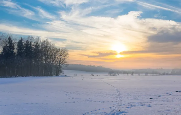 Winter, field, forest, the sky, the sun, clouds, light, snow
