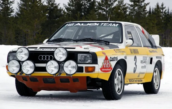 Picture forest, Audi, lights, Audi, sport, quattro, rally, the front