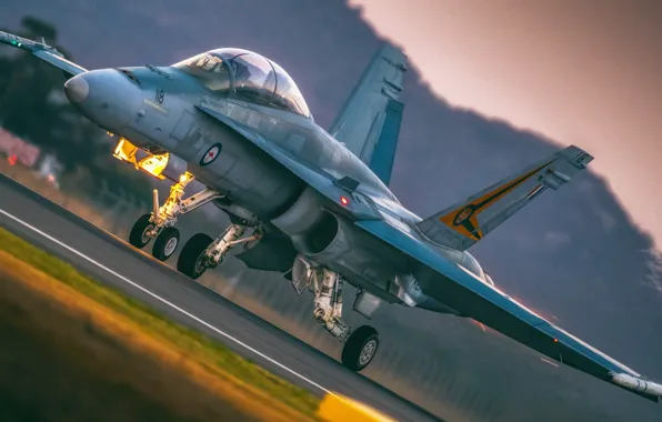 Fighter, Lantern, F/A-18, The rise, WFP, Royal Australian air force, Chassis, F/A-18 Hornet