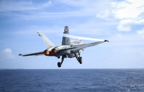 Sea, the rise, Super Hornet, carrier-based fighter, FA-18F
