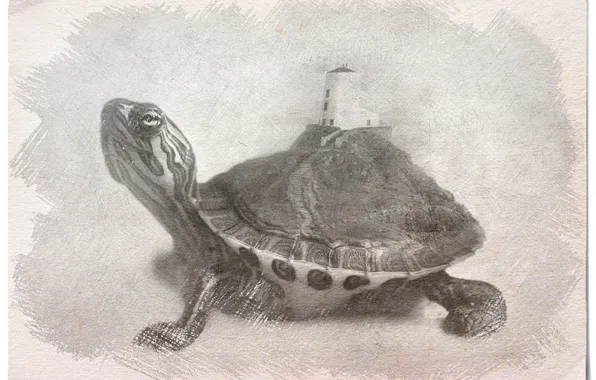 Figure, turtle, image, illusion, black and white picture, picture a simple pencil