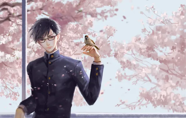Bird, spring, art, guy, Sakamoto, Sakamoto, Sakamoto desu ga?