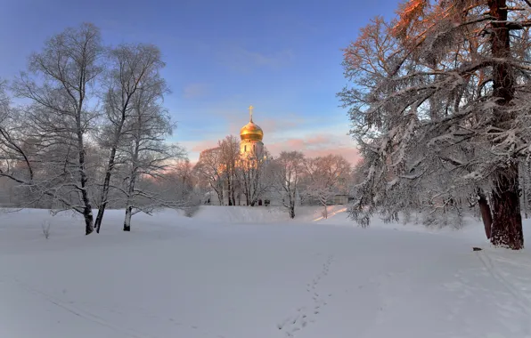 Picture winter, morning, Saint Petersburg, temple