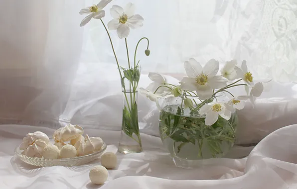 Flowers, plants, sweets, still life, anemones