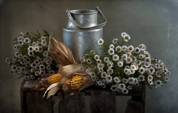 Picture flowers, background, corn