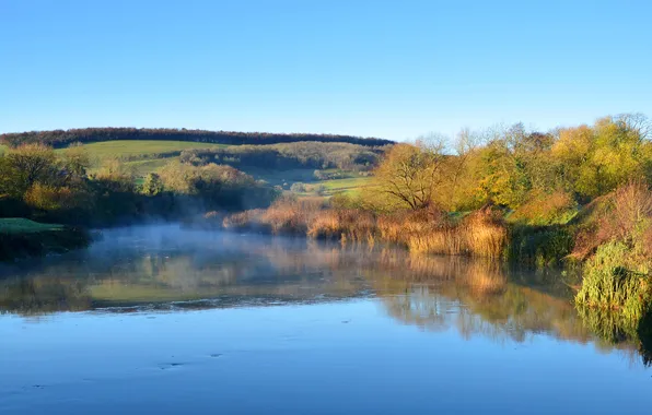 Autumn, the sky, grass, trees, fog, lake, hills