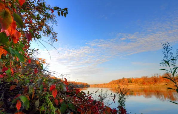 Autumn, the sky, leaves, clouds, trees, river
