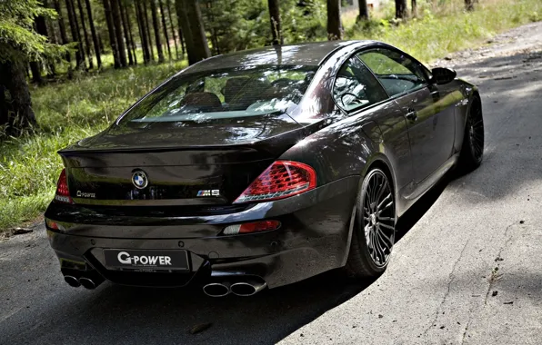 Picture forest, bmw, black, g-power